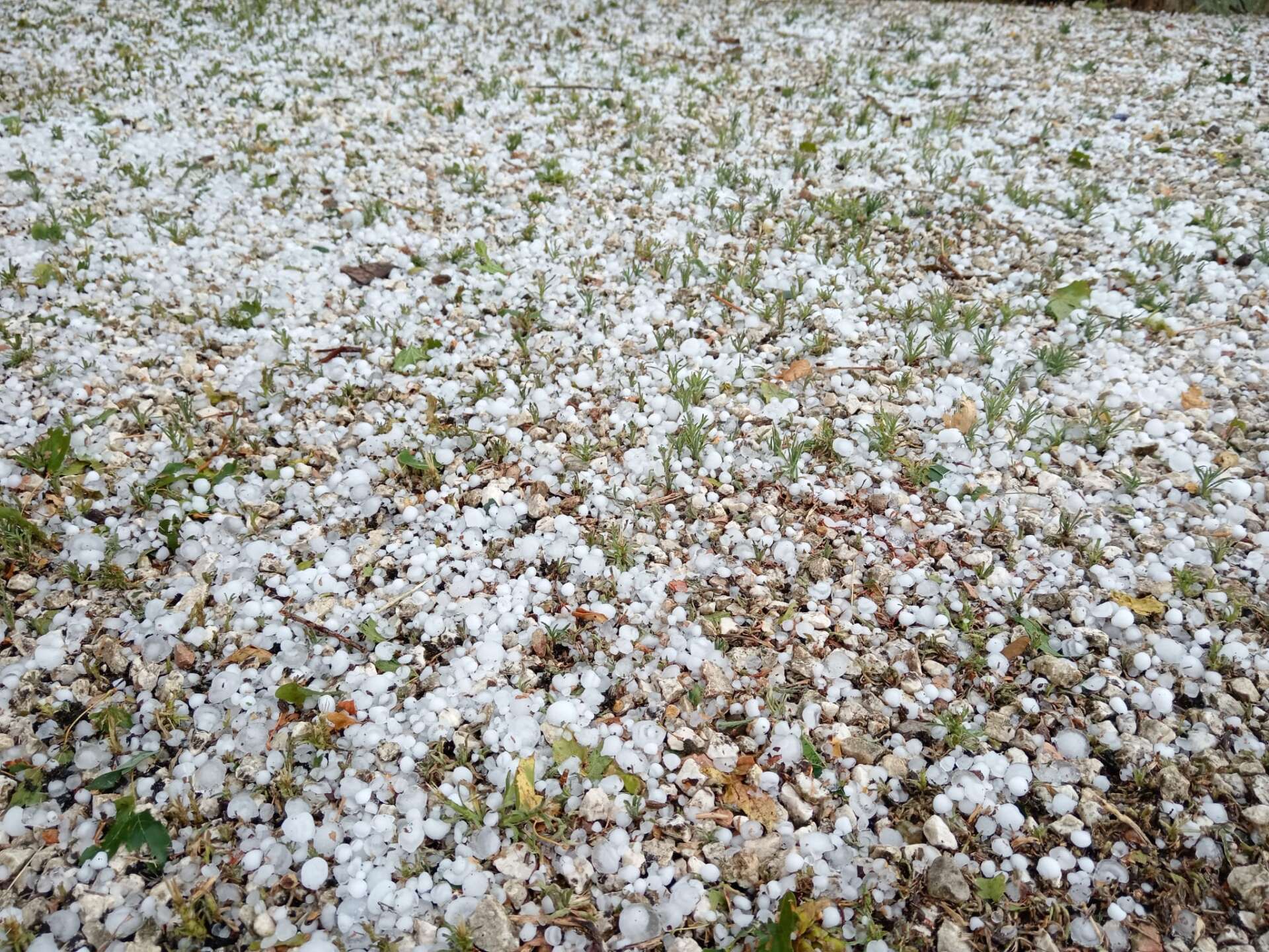 Protezione Civile Campania, allerta meteo gialla per domani