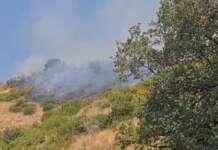 Incendi, dal 15 giugno 68mila interventi Vigili del fuoco (+20%)
