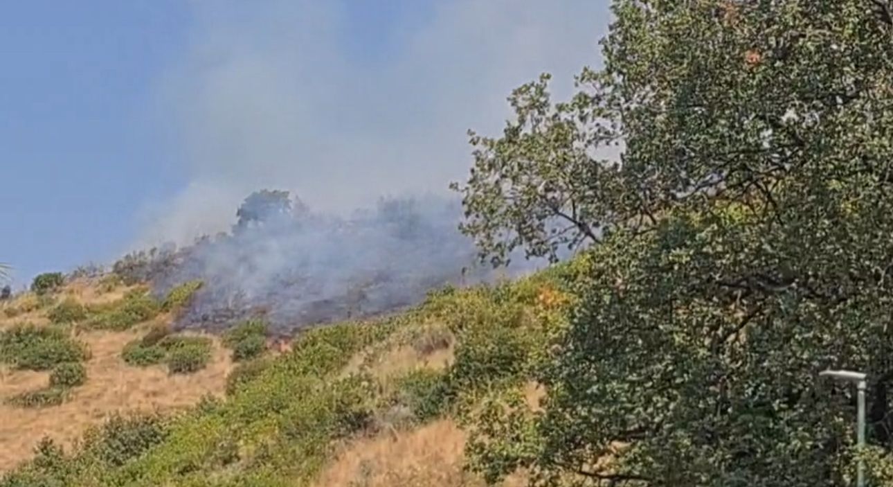 Incendi, dal 15 giugno 68mila interventi Vigili del fuoco (+20%) Incendi, dal 15 giugno 68mila interventi Vigili del fuoco (+20%)
