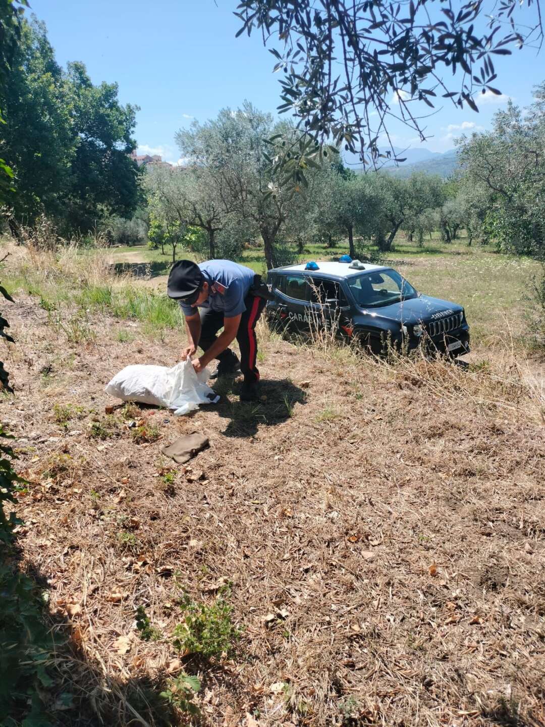 Carabinieri ritrovano buoni postali rubati ad un anziano e glieli restituiscono Carabinieri ritrovano buoni postali rubati ad un anziano e glieli restituiscono