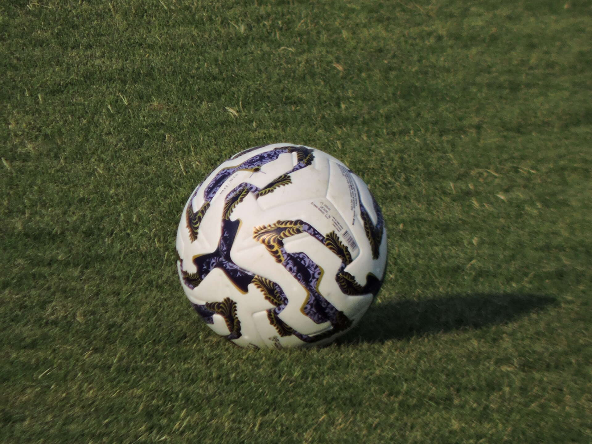 SERIE C/ 4a giornata: cade il Catania a Cosenza, solo pari per l’Atalanta U23 SERIE C/ 4a giornata: cade il Catania a Cosenza, solo pari per l’Atalanta U23