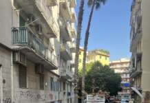 Palme in bilico a Salerno, tagliata la barba appesantita dall’acqua