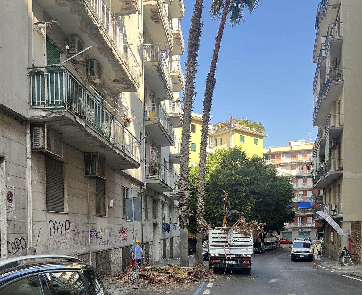 palme in bilico a salerno tagliata la barba appesantita dall8217acqua