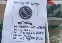 Arenella, si riparla di albero da abbattere nell’incrocio delle polemiche: avviso per il 29 agosto