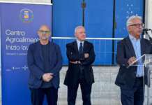 De Luca: “Dipartimento Sud strumento di clientela politica”