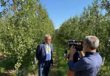 Diossina a Teano, Coldiretti Caserta chiede alla Regione un incontro per valutare i danni