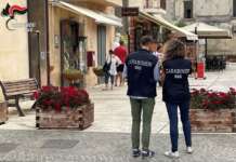 Blitz dei Nas: chiuse 23 attività nelle province di Avellino, Benevento e Salerno