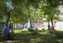 Tumori eredo-familiari: l’installazione artistica “Legami Unici” arriva nel cuore di Napoli