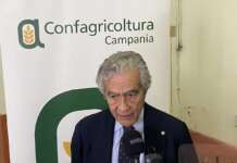 Mozzarella, Marzano (Confagricoltura): “La filiera DOP si tutela con latte fresco e massima trasparenza”