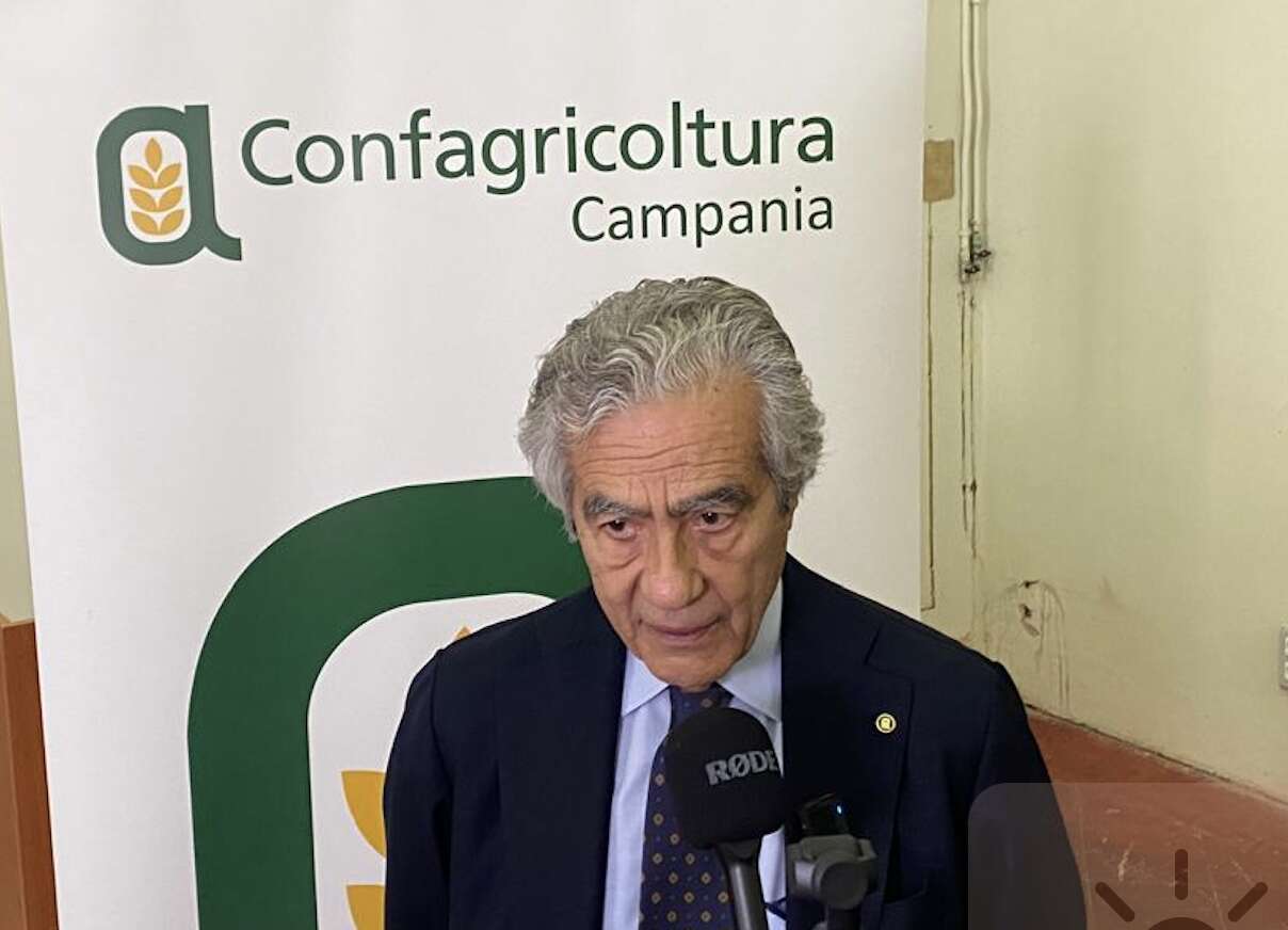 Mozzarella, Marzano (Confagricoltura): “La filiera DOP si tutela con latte fresco e massima trasparenza”