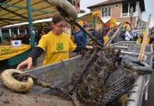 Assomare Italia e Fenailp Turismo al fianco di Legambiente per “Puliamo il Mondo 2025”