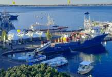 Tonno rosso del mediterraneo, nel weekend a Cetara la due giorni di Coldiretti