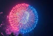 VIDEO/ “Notte dei fuochi”, il tripudio di colori: i vincitori