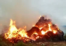 Baselice, a fuoco un deposito di rotoballe: si indaga sulle cause