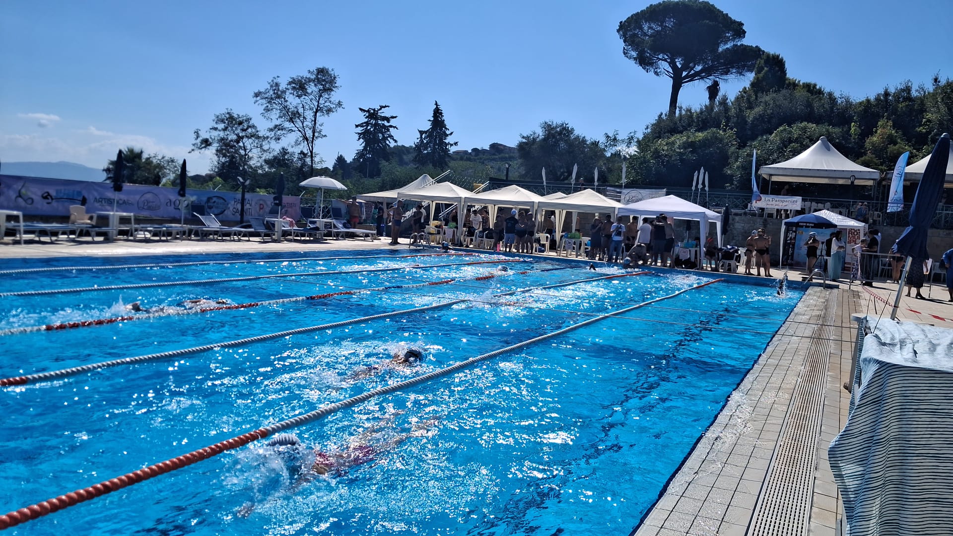 nuoto solidale maratona a favore della ricerca contro la sclerosi multipla