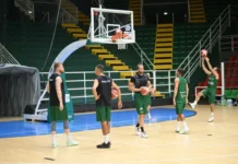 Avellino basket, capitan Mussini consegna l’abbonamento 1000