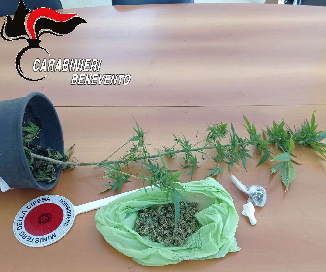 blitz nel sannio trovata droga nascosta tra case e cortili