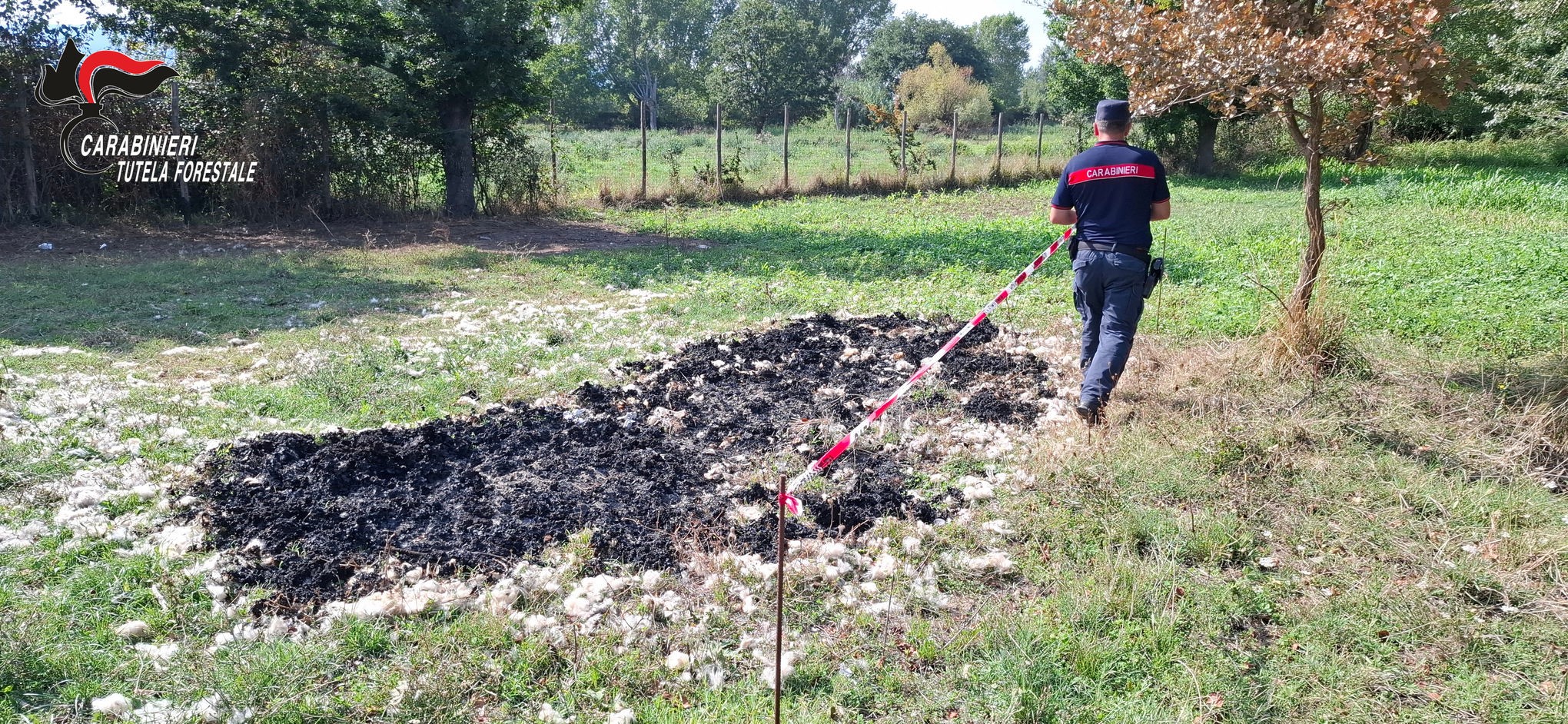 FOTO/ Carabinieri Forestale, rifiuti speciali bruciati a Bonea: area sequestrata FOTO/ Carabinieri Forestale, rifiuti speciali bruciati a Bonea: area sequestrata