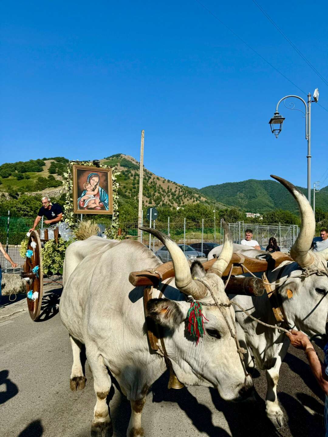 Baronissi, la Sindaca Petta: “Carro della Madonna delle Grazie Patrimonio Immateriale della Regione Campania” Baronissi, la Sindaca Petta: “Carro della Madonna delle Grazie Patrimonio Immateriale della Regione Campania”