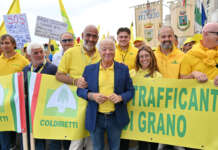 Coldiretti, agricoltori in protesta a Bari: in 300 da Benevento per unirsi al ‘popolo del grano’