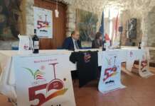 VIDEO/ Si alza il sipario su Vinestate: 50 anni e tanta voglia di stupire ancora