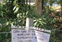 FOTO/ Una discarica a cielo aperto e quella ‘minaccia’ di un residente…