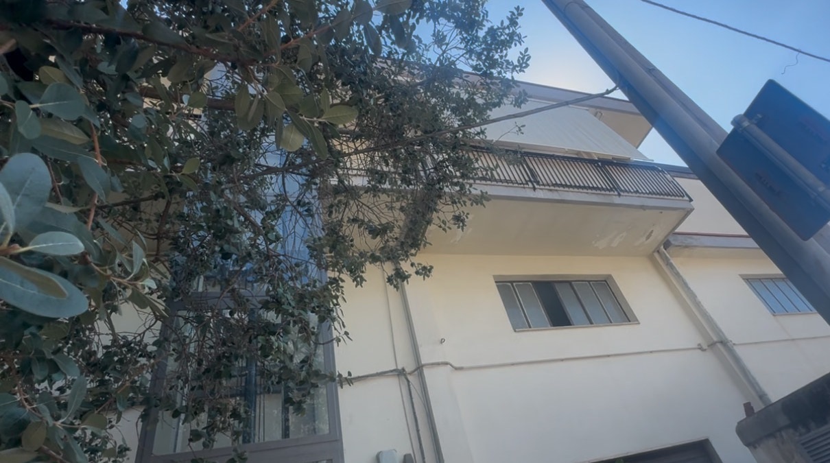 famiglia con 160 gatti in una casa l8217appello della lndc animal protection