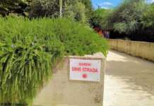 Paolisi accende i Giardini Gino Strada con “Illumina la Notte”