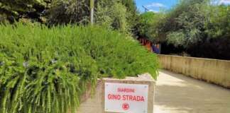 Paolisi accende i Giardini Gino Strada con “Illumina la Notte”