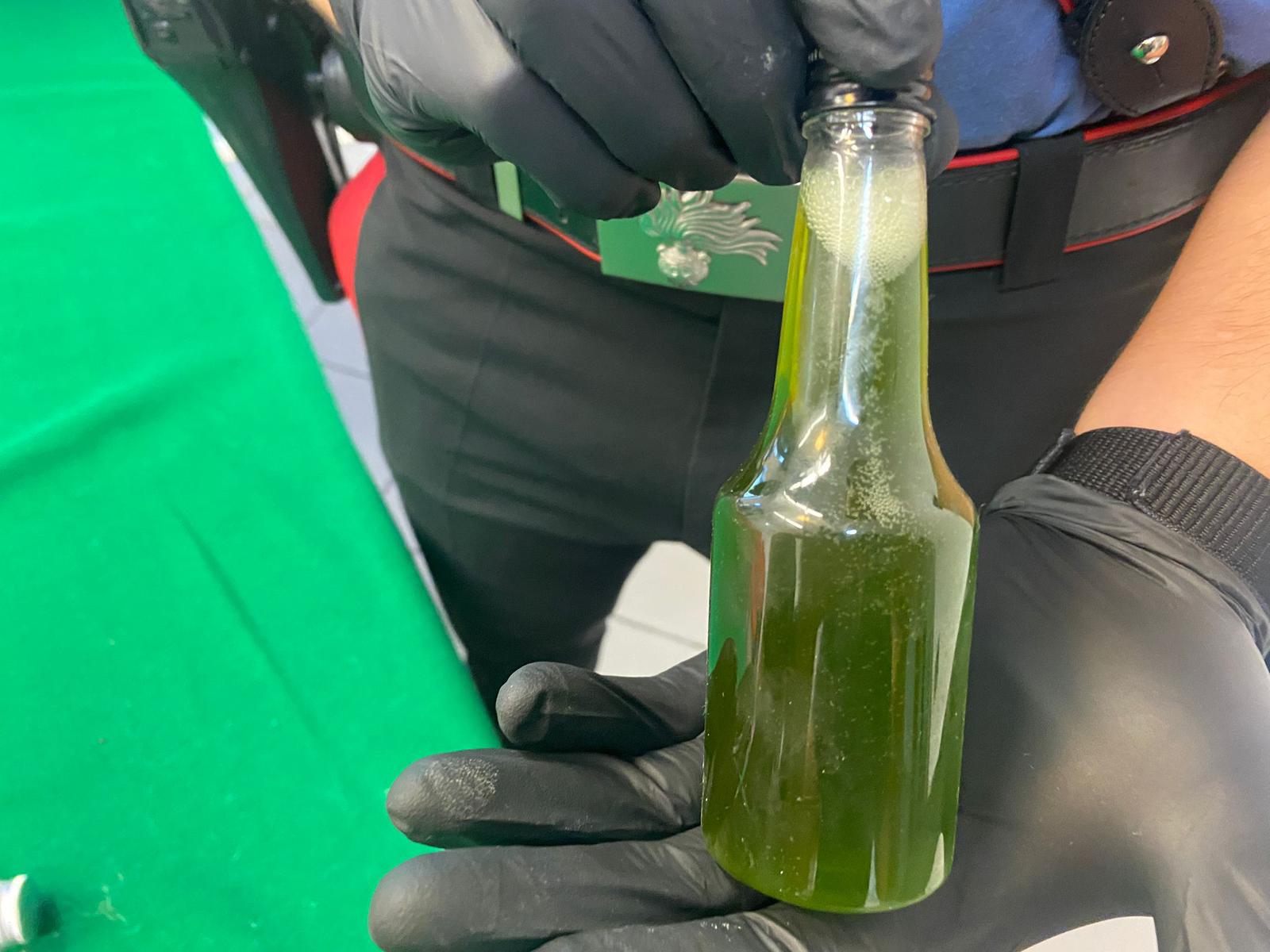 Carabinieri sequestrano decine di “liquori all’erba”: 24enne ai domiciliari