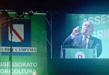 Campania Mater, Fusco: “Export in crisi e fauna selvatica, serve azione concreta per salvare le imprese”