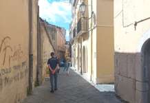 Animali incustoditi dopo lo sfratto della proprietaria: l’ODV salva cinque gatti