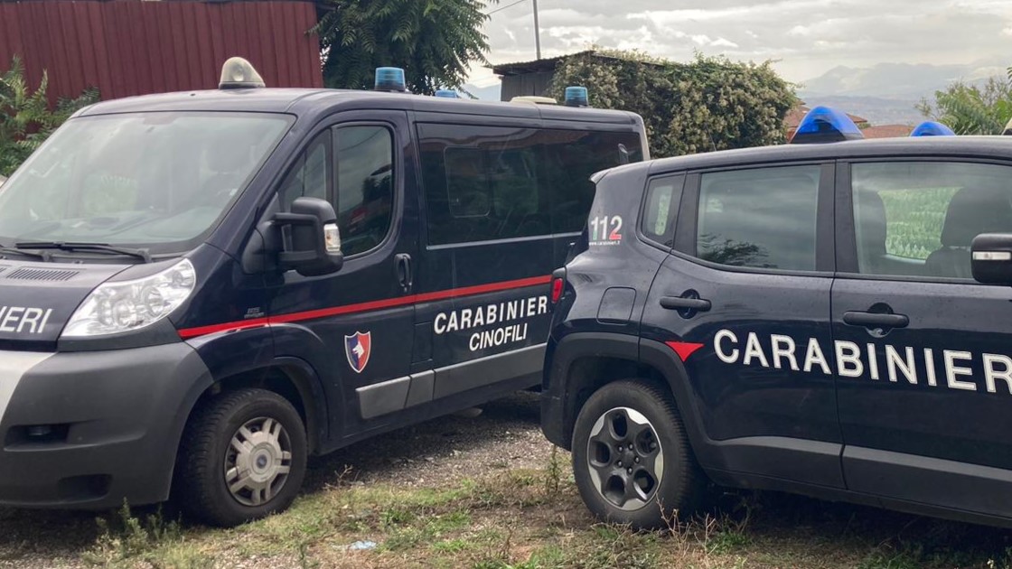 Controlli a tappeto dei Carabinieri: sequestri, denunce ed espulsioni