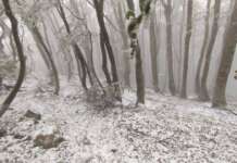 FOTO- E’ già inverno: prima neve sulle vette del Laceno