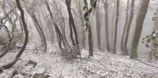 FOTO- E’ già inverno: prima neve sulle vette del Laceno