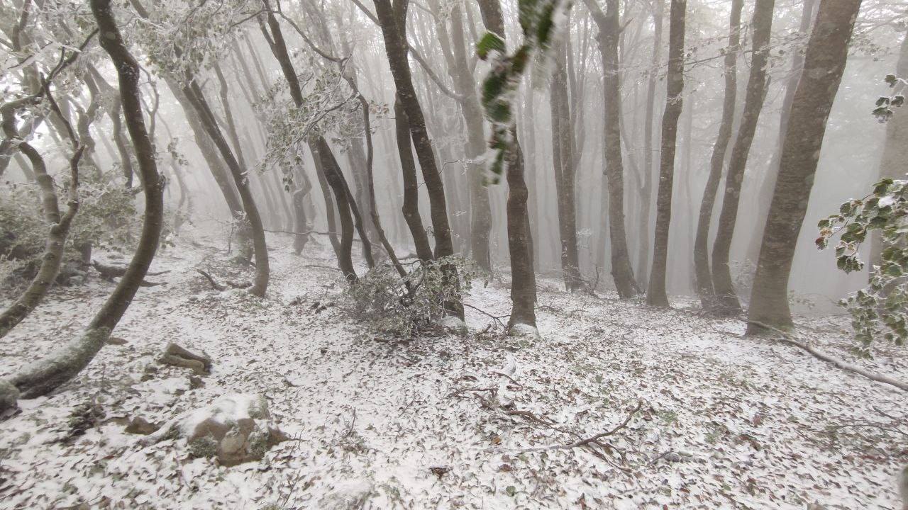 foto e8217 gi224 inverno prima neve sulle vette del laceno