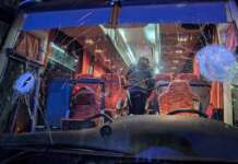 Tragedia nel basket: assaltato il pullman dei tifosi di Pistoia, muore l’autista