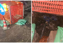 Guasto alla fibra in Valle Vitulanese: tranciato un cavo, migliaia di utenti senza internet