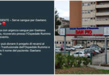 “Serve sangue per Gaetano”: l’appello si diffonde sui social, in tanti al San Pio per donare