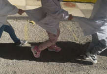 FOTO/ Pellezzano, ecco come gli alunni studiano…il terremoto