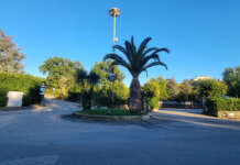 La chiamata dal locale, le auto che arrivano: così è nata la spedizione punitiva a Montesarchio