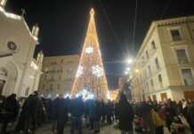 Natale con luminarie ed alberi: il Commissario Perrotta ci prova