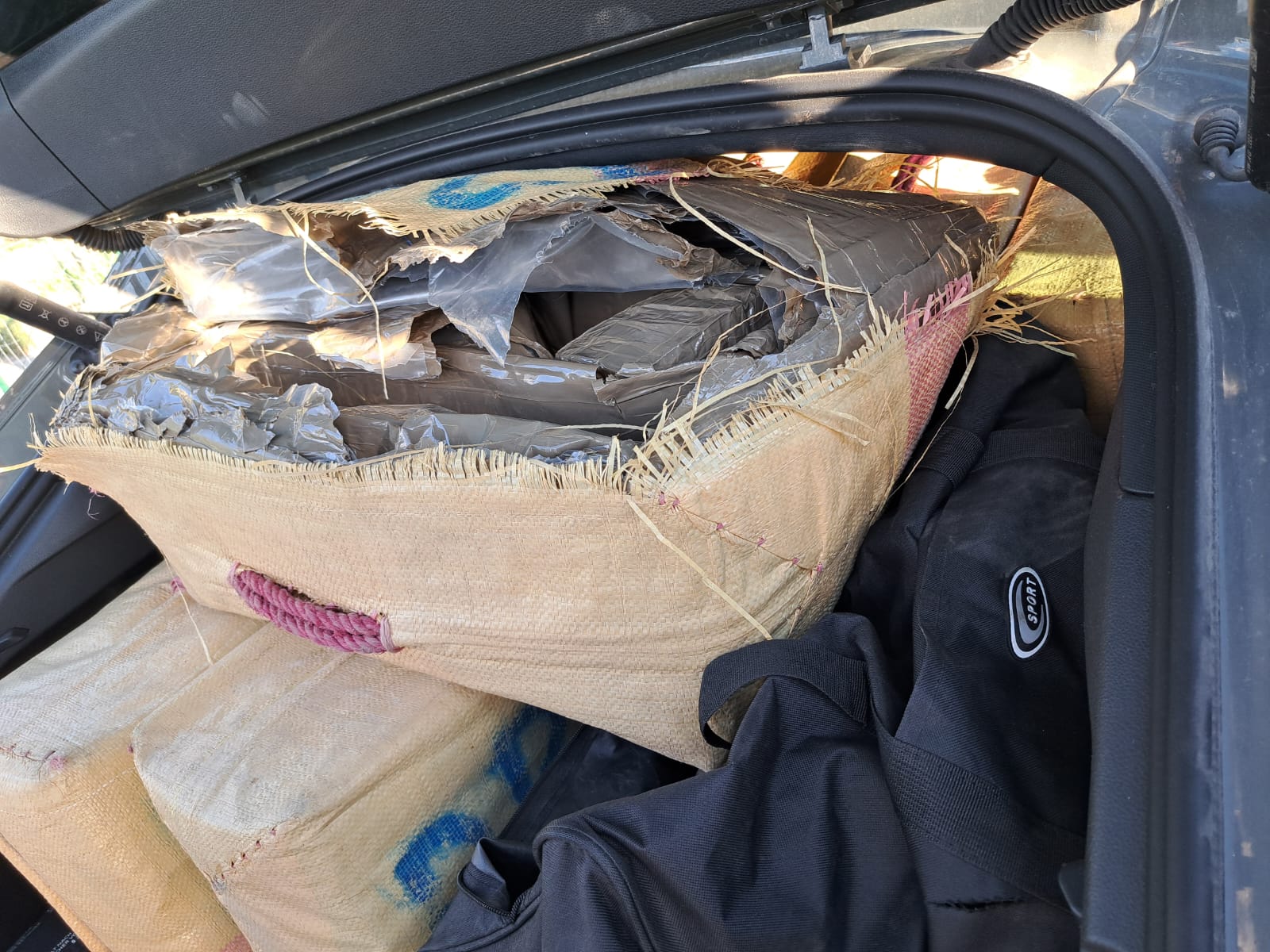 Produzione, traffico e detenzione di droga: arrestato in flagranza Produzione, traffico e detenzione di droga: arrestato in flagranza
