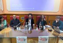 “Gaza, non abbassiamo la guardia”, il monito di Cinzia Sciuto