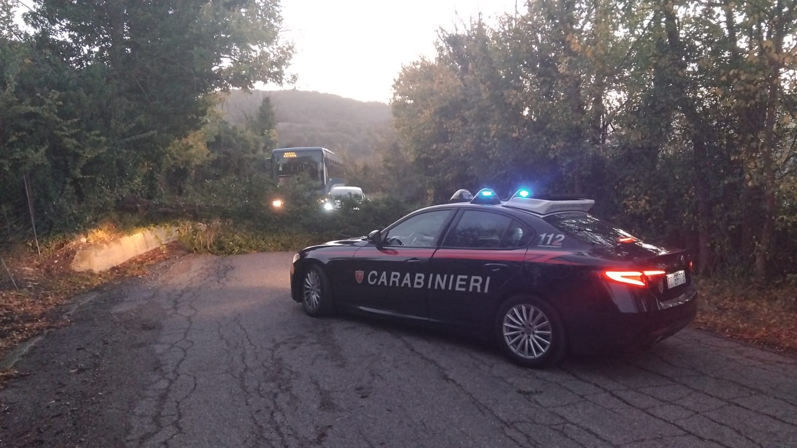 il vento sferza l8217irpinia albero cade sulla provinciale 58