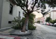 Forti raffiche di vento in città, grosso ramo cade sul marciapiede