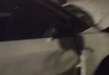 Atto intimidatorio contro il giornalista Sigfrido Ranucci: la solidarietà del mondo politico