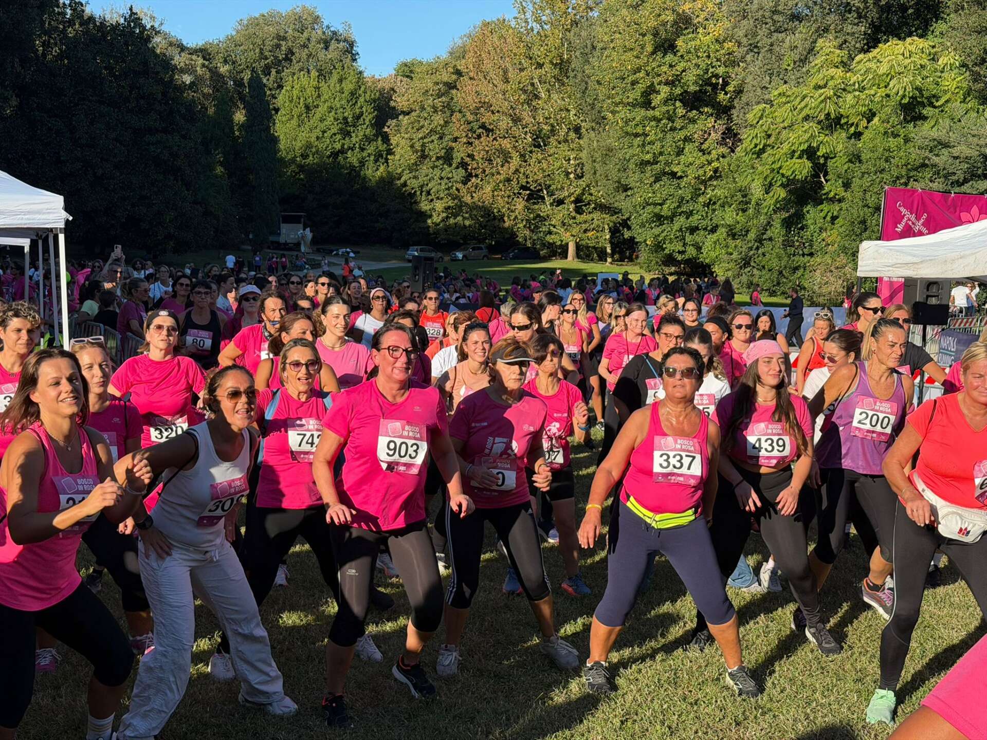 bosco in rosa mille donne per la solidariet224