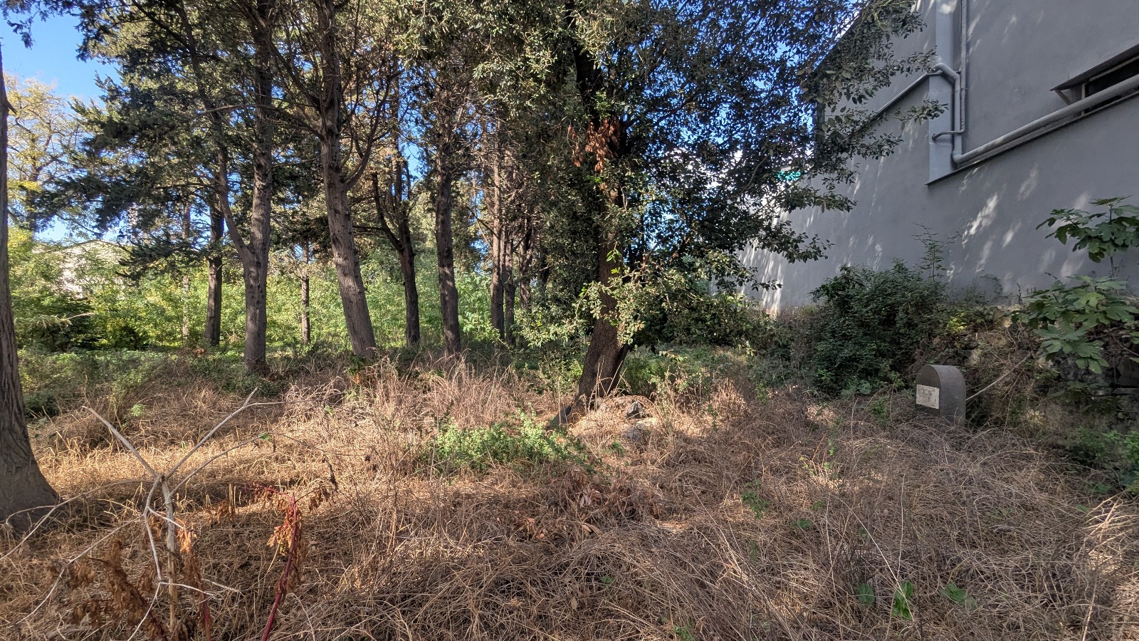 Cimitero Colerosi di Barra, cerimonia per chiedere decoro dello storico Camposanto Cimitero Colerosi di Barra, cerimonia per chiedere decoro dello storico Camposanto
