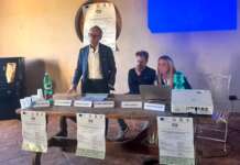 Uliveto secolare di Molinara: i risultati del progetto S.Oil verso una pubblicazione scientifica internazionale